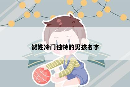 贺姓冷门独特的男孩名字