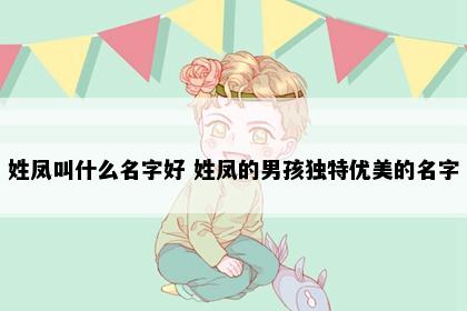 姓凤叫什么名字好 姓凤的男孩独特优美的名字