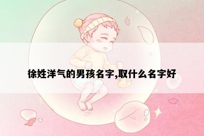 徐姓洋气的男孩名字,取什么名字好